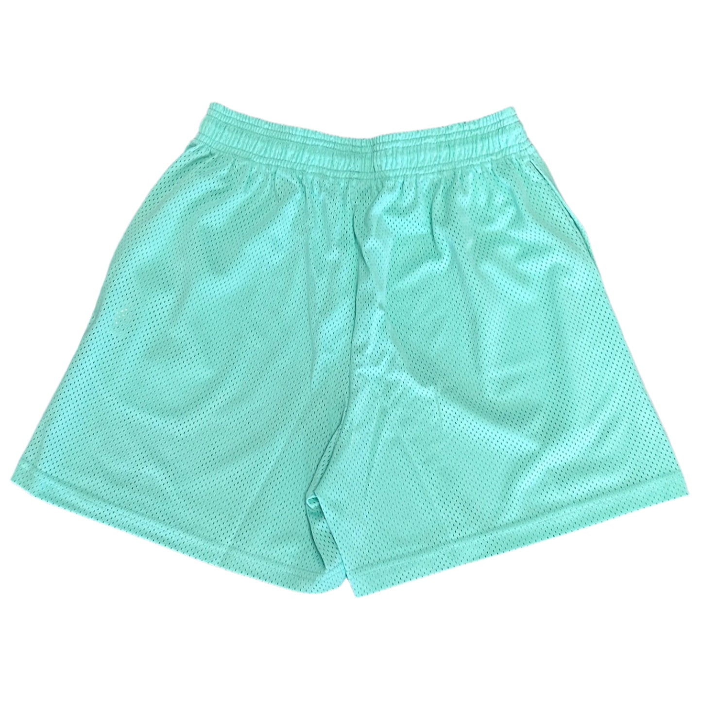 Eric Emanuel Mint Navy/Gold EE Basic Short