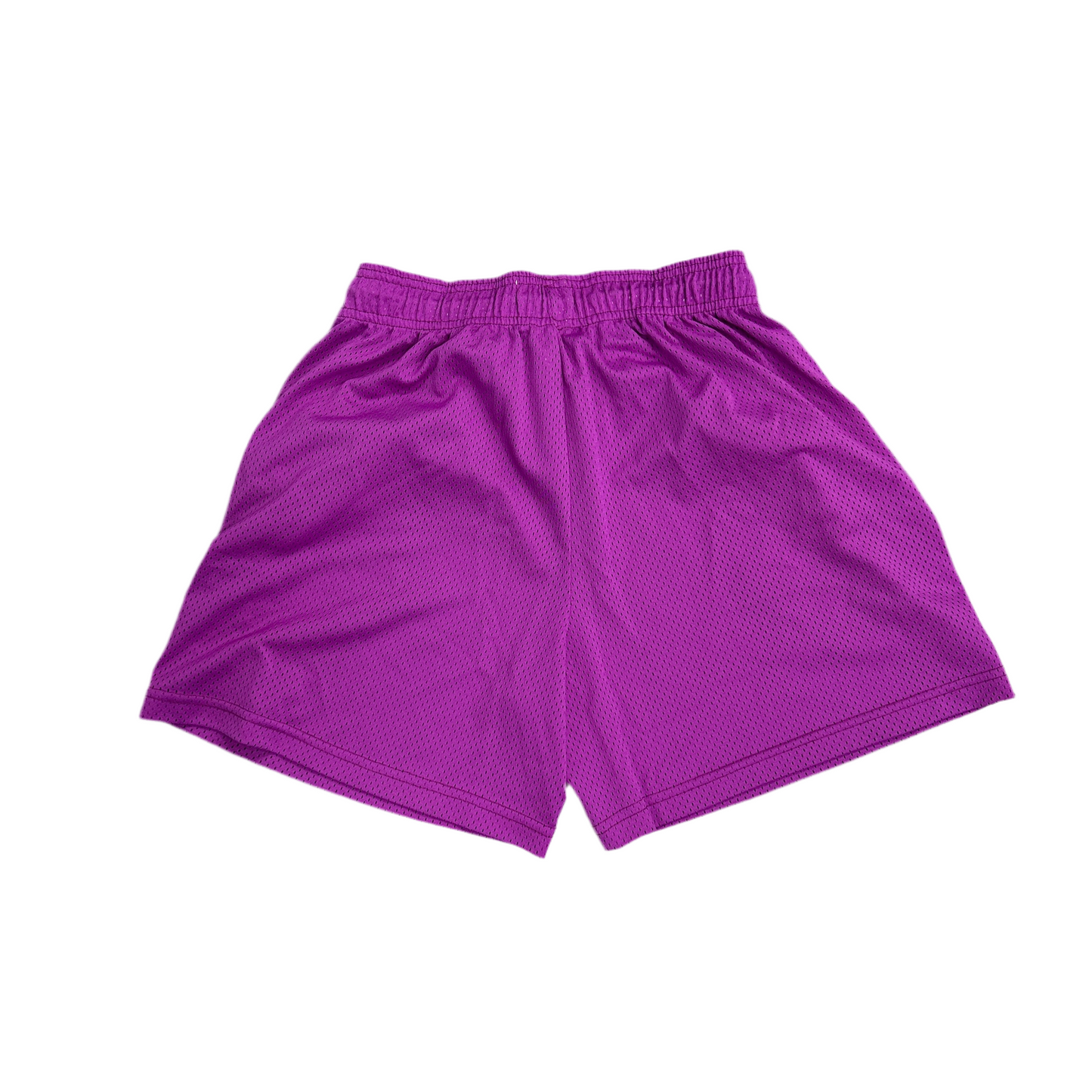 Eric Emanuel EE Shorts Purple and Mint