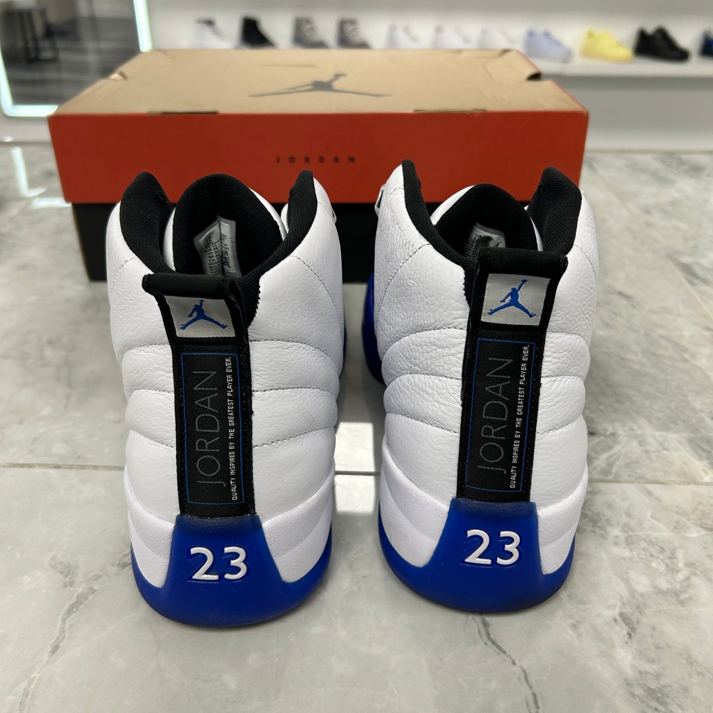 Jordan 12 Retro Blueberry (USED)