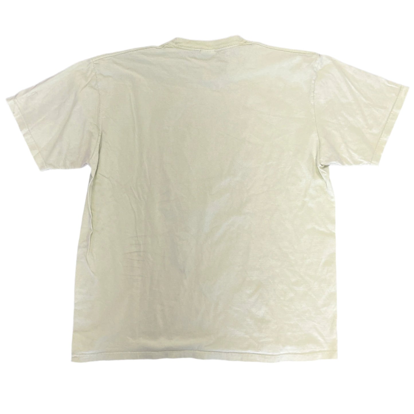 Supreme Tupac Hologram Tee Pale Mint