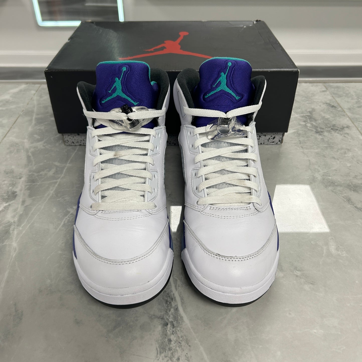 Jordan 5 Retro Grape (2025) (USED)