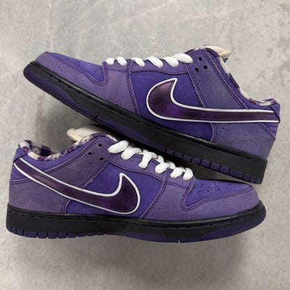 Nike X Concepts SB Dunk Low Purple Lobster (Used)(No Box)