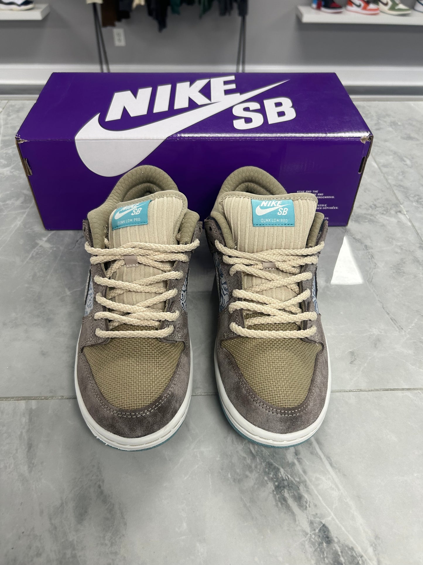 Nike SB Dunk Low Big Money Savings (USED)