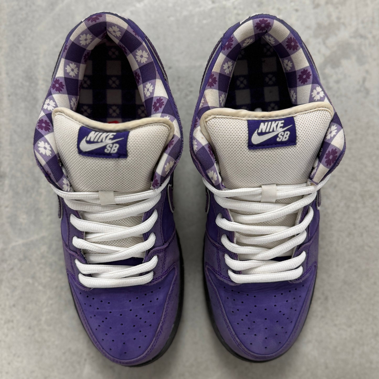 Nike X Concepts SB Dunk Low Purple Lobster (Used)(No Box)