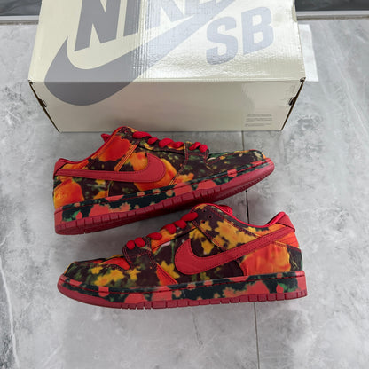 The Wizard of Oz x Dunk Low SB Poppy Field (Used)