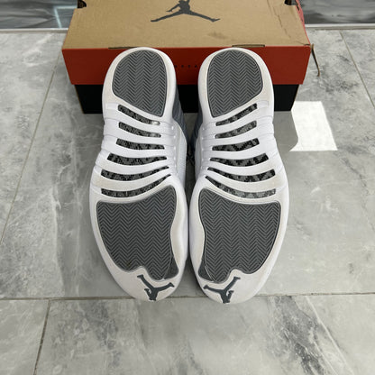 Jordan 12 Retro Stealth (USED)