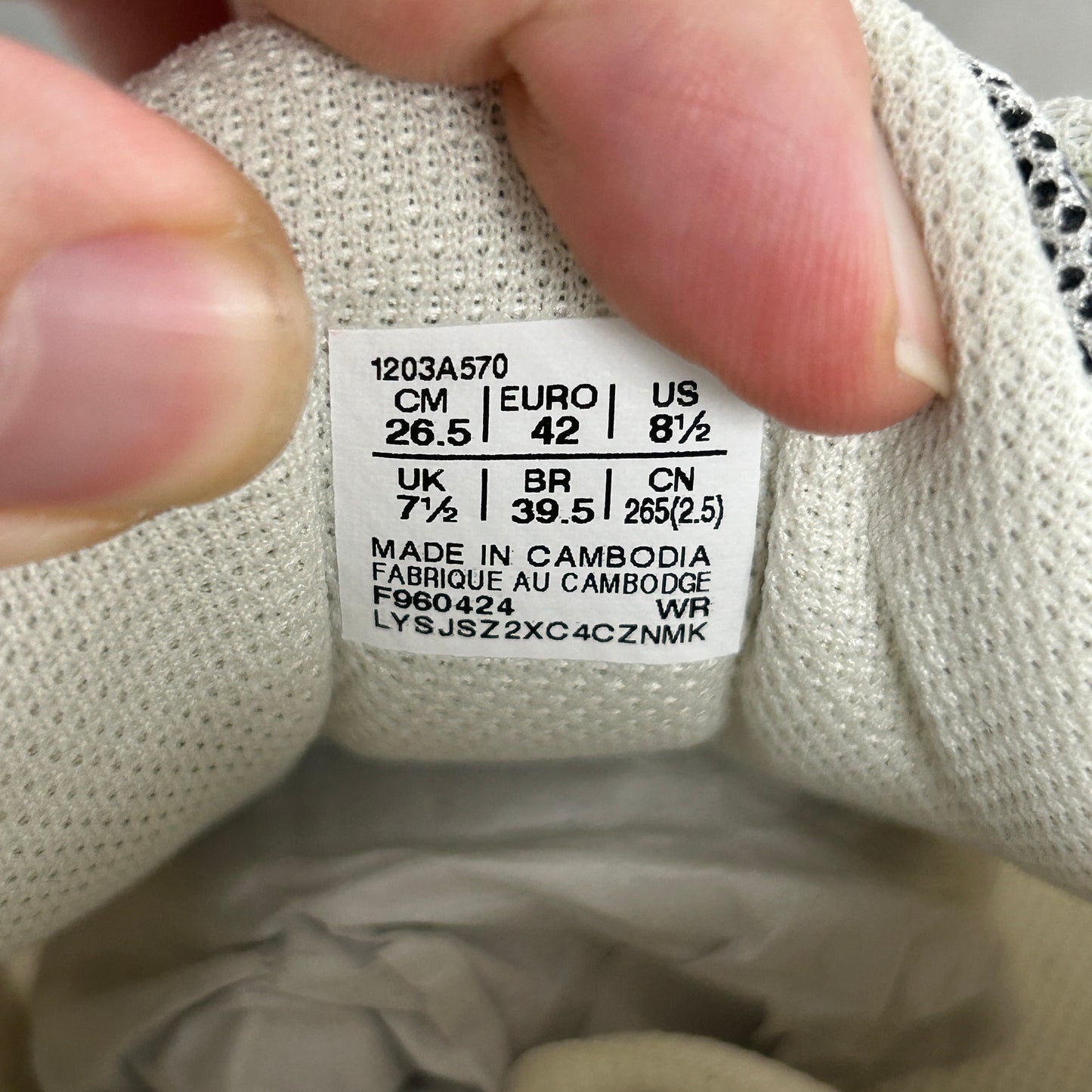 ASICS GT-2160 Paris (USED)