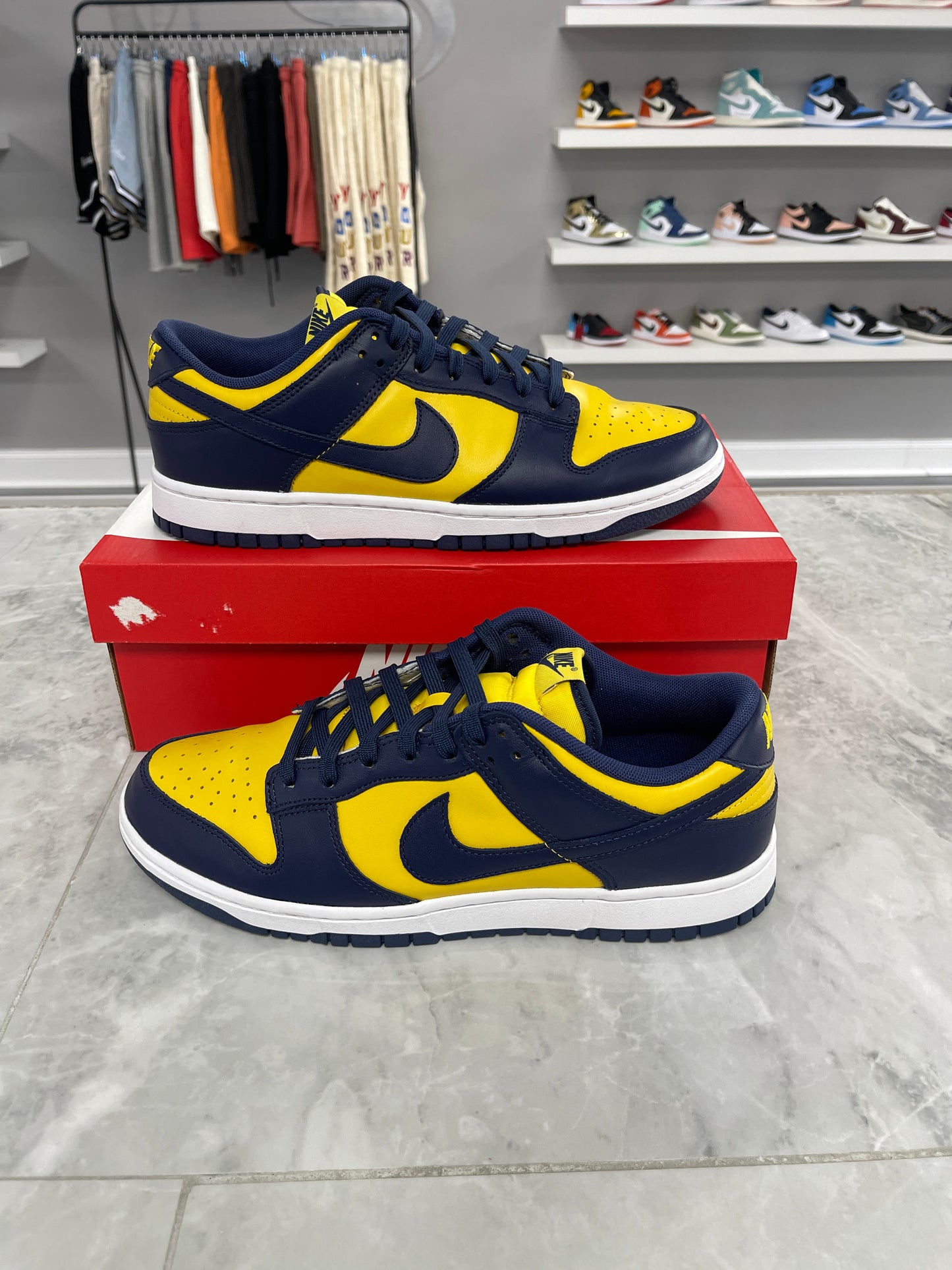 Nike Dunk Low Michigan (2021)(Used)