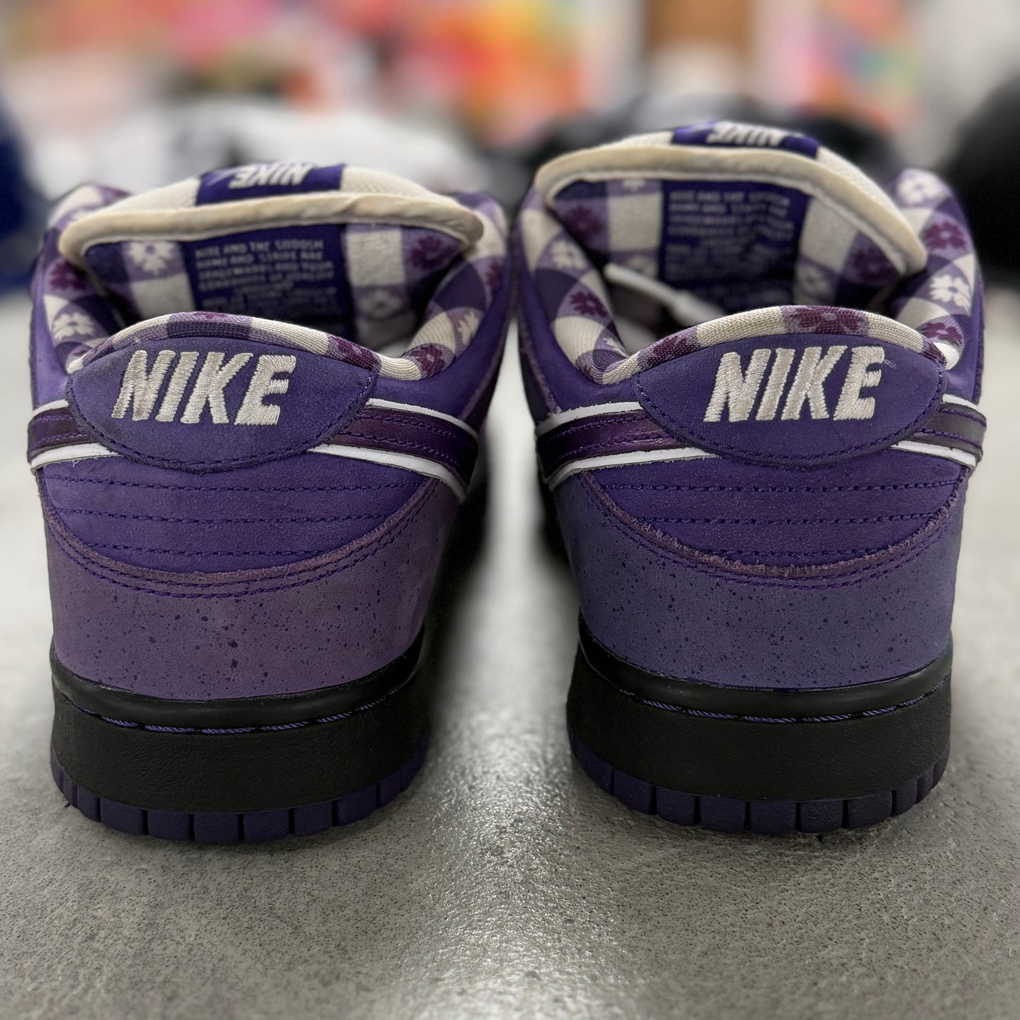 Nike X Concepts SB Dunk Low Purple Lobster (Used)(No Box)