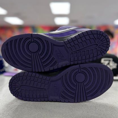 Nike X Concepts SB Dunk Low Purple Lobster (Used)(No Box)