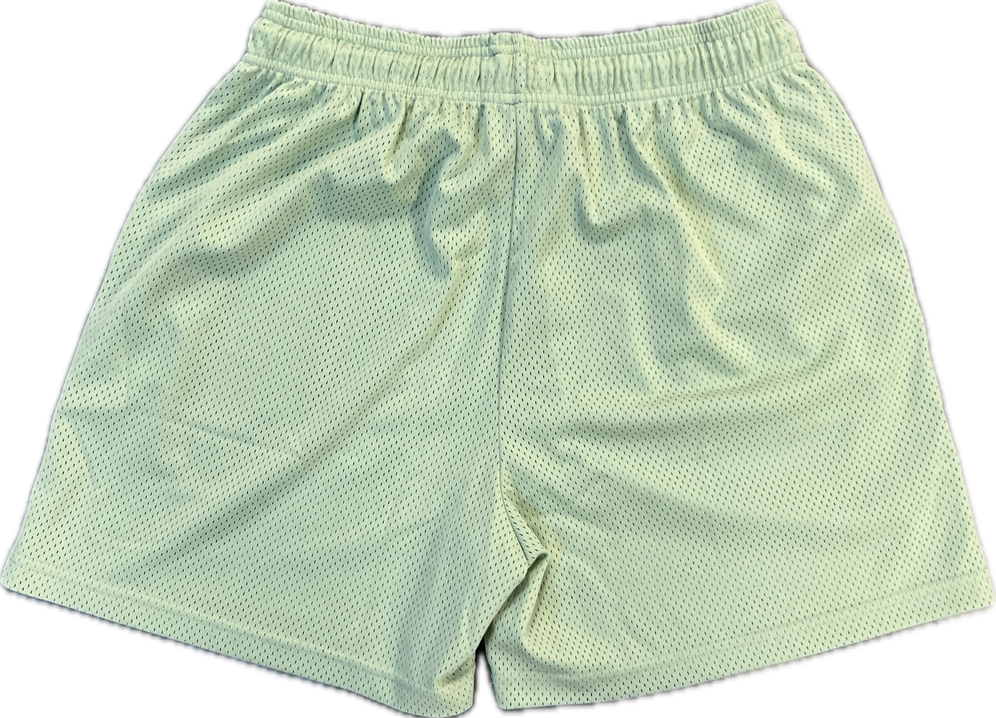 Eric Emanuel Light Green Basic Shorts