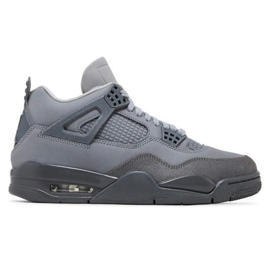 Air Jordan 4 Retro SE Paris Olympics Wet Cement (USED)